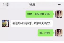 眉山为什么选择专业追讨公司来处理您的债务纠纷？